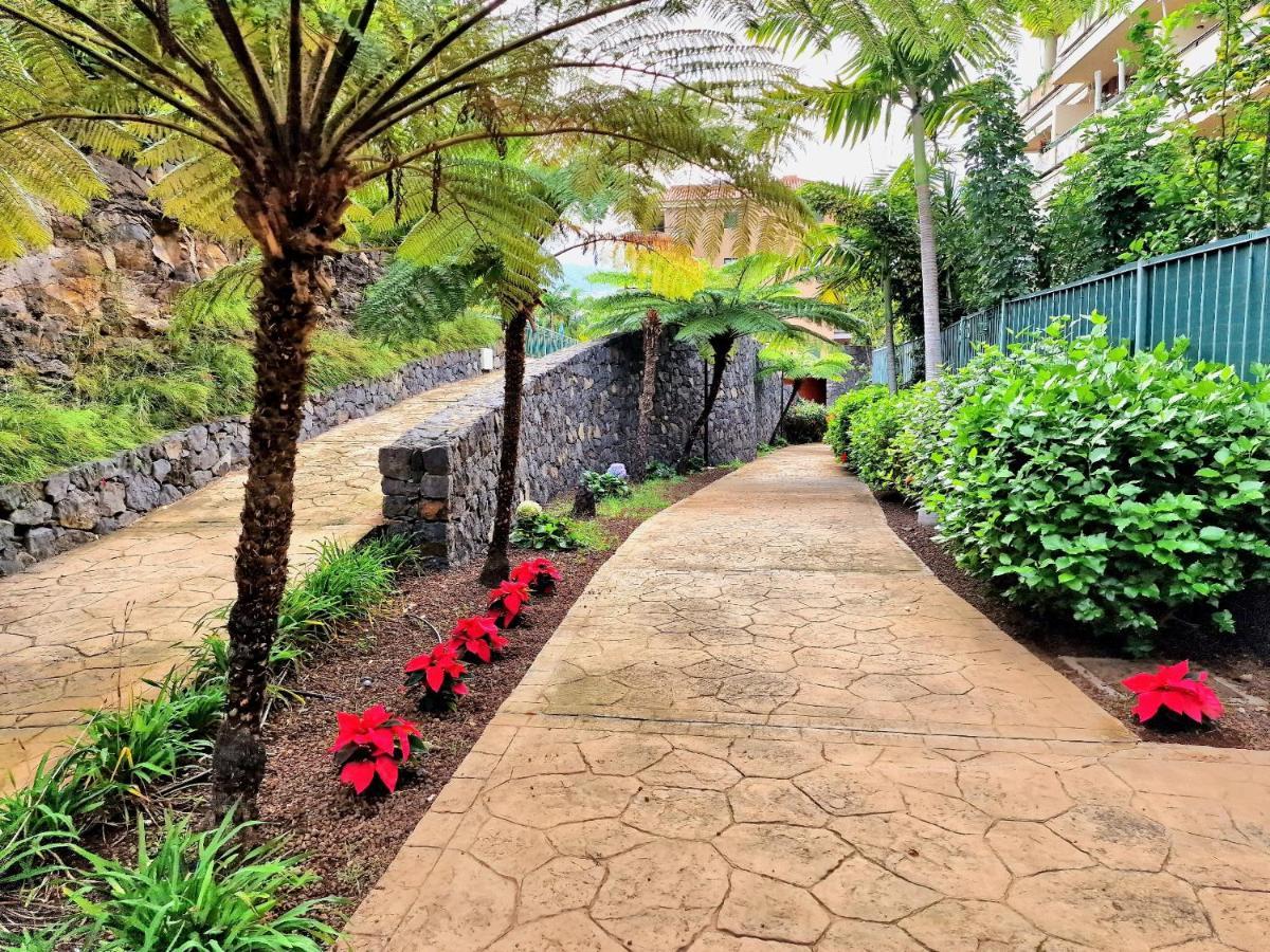 Durazno Tropical Apartment Puerto De La Cruz Ngoại thất bức ảnh