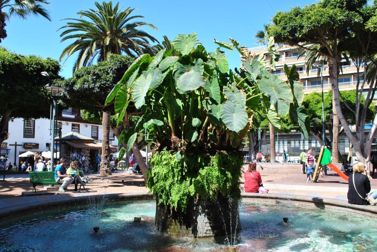 Durazno Tropical Apartment Puerto De La Cruz Ngoại thất bức ảnh